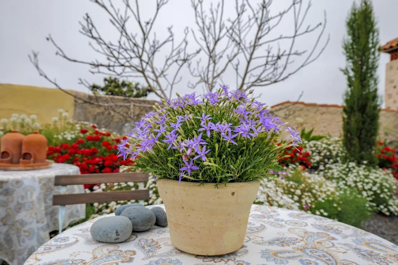 Penzion Casa Leandra Con Jacuzzi Costa Adeje  Španělsko